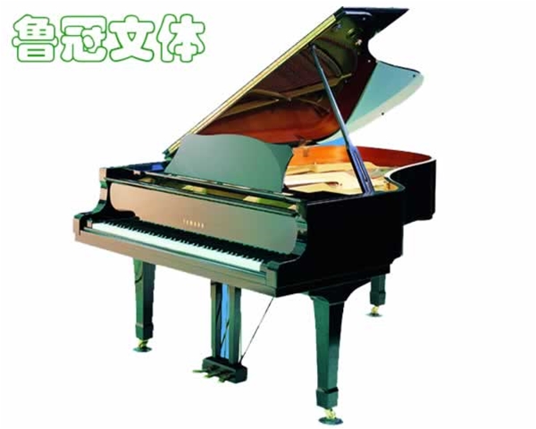音樂器材-三角鋼琴